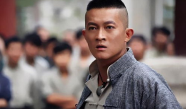 杨志刚电视剧,传奇英雄的银幕征程