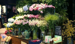 唐山花店吃瓜爆料社区,吃瓜爆料社区背后的故事