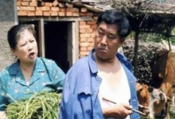 东北题材电视剧,那些年我们一起追过的电视剧