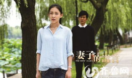 妻子的谎言电视剧,妻子谎言背后的真相