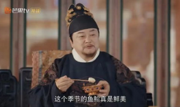 鱼生电视剧全集,穿越时空的奇幻之旅