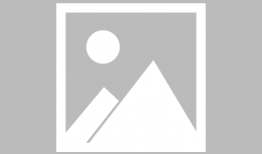 日本肉动漫在线观看,日本肉动漫在线观看指南