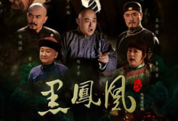 黑凤凰电视剧,凤凰涅槃，传奇归来