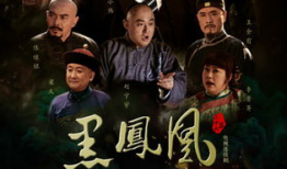 黑凤凰电视剧,凤凰涅槃，传奇归来