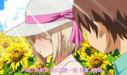 雨芳恋歌动漫,漫绘青春的浪漫旋律