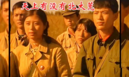 电视剧年轮主题曲,青春不散——电视剧年轮主题曲情感共鸣