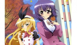 动漫不,动漫世界里的奇幻冒险之旅