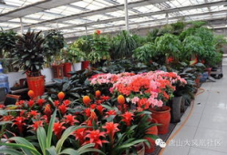 唐山花店吃瓜爆料社区,吃瓜爆料社区背后的故事