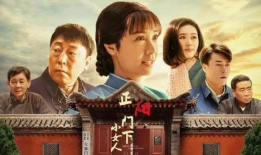电视剧正阳门下,百年风云，家国情怀的传承之路