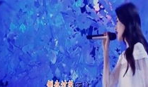 电视剧年轮主题曲,青春不散——电视剧年轮主题曲情感共鸣